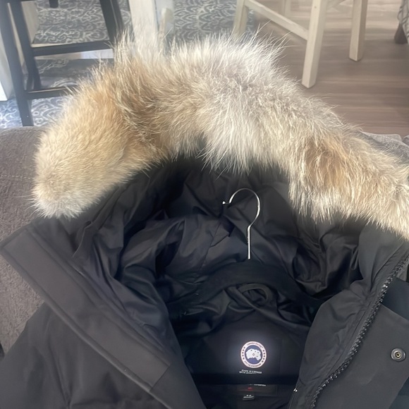 Canadian goose - Picture 3 of 3